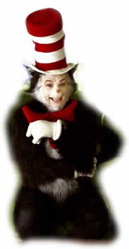 cat in the hat