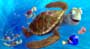Finding Nemo