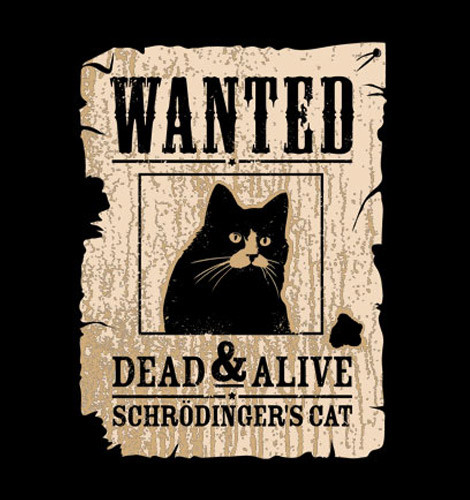 Schrodingers Cat Dead Alive Mens Funny Sheldon Cooper Hoodie Big Bang Theory