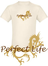 Hangover 2 Perfect Life t-shirt