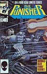 Marvel Punisher Comic Books