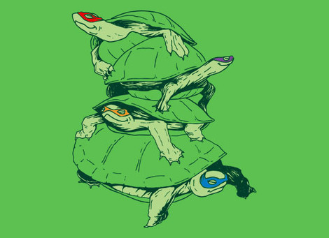 Masked Turtles t-shirt
